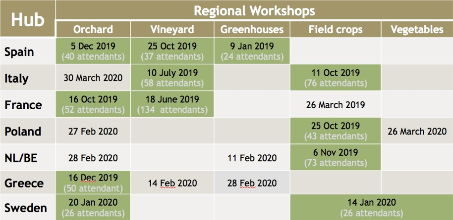 2020 Innoseta Regional Workshops