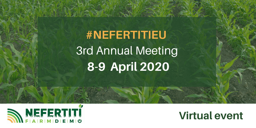 NEFERTITI Annual Meeting 8 9 April 2020